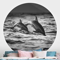 Klebefieber Runde Fototapete selbstklebend Zwei springende Delfine