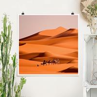 Klebefieber Poster Namib Desert