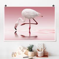 Klebefieber Poster Flamingo Dance