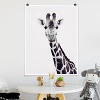 Klebefieber Poster Giraffen Portrait in Schwarz-weiß