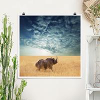 Klebefieber Poster Nashorn in der Savanne