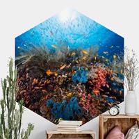 Klebefieber Hexagon Fototapete selbstklebend Lagune Unterwasser