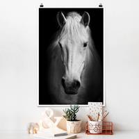 Klebefieber Poster Dream of a Horse