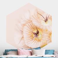 Klebefieber Hexagon Fototapete selbstklebend Pastellfarbener Blütenstrauß