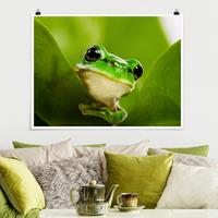 Klebefieber Poster Wetterfrosch