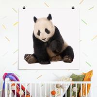 Klebefieber Poster Panda Tatzen