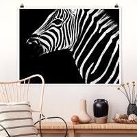 Klebefieber Poster Zebra Safari Art