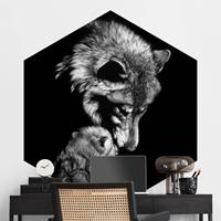Klebefieber Hexagon Fototapete selbstklebend Wolf vor Schwarz