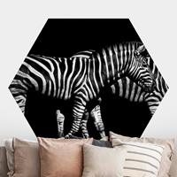 Klebefieber Hexagon Fototapete selbstklebend Zebra vor Schwarz
