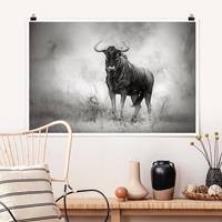 Klebefieber Poster Staring Wildebeest