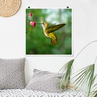 Klebefieber Poster Kolibri und Blüte