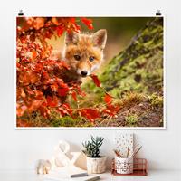 Klebefieber Poster Fuchs im Herbst