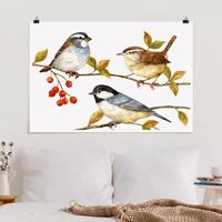 Klebefieber Poster Vögel und Beeren - Meisen