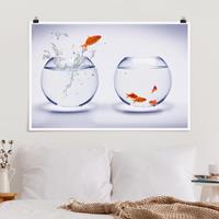 Klebefieber Poster Flying Goldfish