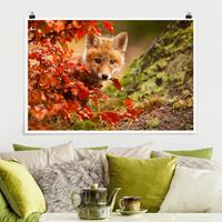 Klebefieber Poster Fuchs im Herbst