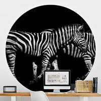 Klebefieber Runde Fototapete selbstklebend Zebra vor Schwarz