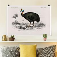 Klebefieber Poster Vintage Lehrtafel Emu