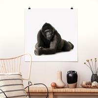 Klebefieber Poster Liegender Gorilla II