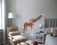 Klebefieber Wandtattoo Tiere No.301 Giraffe