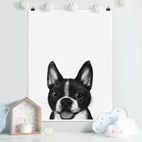 Klebefieber Poster Illustration Hund Boston Schwarz Weiß Malerei