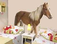 Klebefieber Wandtattoo Kinderzimmer No.136 Pony