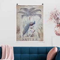 Klebefieber Poster Shabby Chic Collage - Pfau