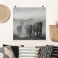 Klebefieber Poster Elefantenherde