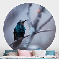 Klebefieber Runde Fototapete selbstklebend Kolibri im Winter