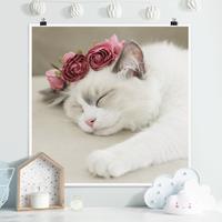 Klebefieber Poster Schlafende Katze mit Rosen