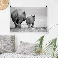 Klebefieber Poster Wandering Rhinos II