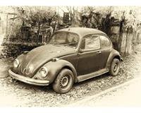 Papermoon Beetle Retro Car Vlies Fotobehang 500x280cm 10-banen
