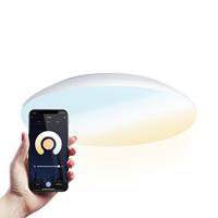 HOFTRONIC™ LED Bulkhead 30 cm - Plafondlamp - WiFi + Bluetooth - 18W 1800 Lumen - Lichtkleur instelbaar - Dimbaar - IK10 - Wit - IP65 Waterdicht