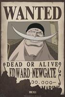 ABYstyle One Piece Wanted Edward Newgate Poster 35x52cm