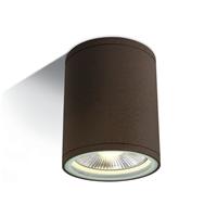 ONE Light PAR30 Outdoor Cylinders - buiten plafondverlichting - Ø 10,6 x 13,4 cm - IP54 - roestbruin