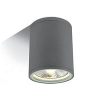 ONE Light PAR30 Outdoor Cylinders - buiten plafondverlichting - Ø 10,6 x 13,4 cm - IP54 - grijs