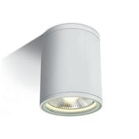 ONE Light PAR30 Outdoor Cylinders - buiten plafondverlichting - Ø 10,6 x 13,4 cm - IP54 - wit