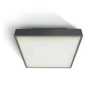 ONE Light E27 Plafo Outdoor Square - buiten plafondverlichting - 22,1 x 22,1 x 9,3 cm - IP65 - antraciet