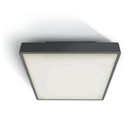 ONE Light E27 Plafo Outdoor Square - buiten plafondverlichting - 29,5 x 29,5 x 10,5 cm - IP65 - antraciet