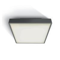 ONE Light LED Plafo Outdoor Square - buiten plafondverlichting - 22,1 x 22,1 x 5,7 cm - 16W LED incl. - IP65 - antraciet