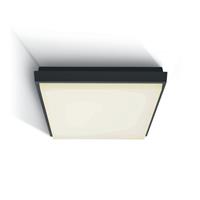 ONE Light Outdoor Slim LED - buiten plafondverlichting - 23,8 x 23,8 x 4,6 cm - 25W LED incl. - IP54 - antraciet