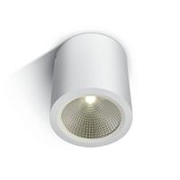 ONE Light COB Outdoor Ceiling Cylinders - buiten plafondverlichting - Ø 9 x 10 cm - 10W LED incl. - IP54 - wit