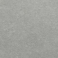 Colorker Neolith Vloertegel 59.5x59.5cm 9.7mm gerectificeerd Grey Mat 1258050