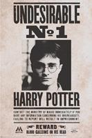 ABYstyle Harry Potter Undesirable nr 1 Poster 61x91,5cm