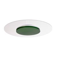 Deko-Light LED plafondlamp Zaniah, 360Â°-licht, 24W, groen