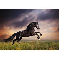 Bellatio Dieren Kinderkamer Poster Galopperende Zwarte Hengst / Paard 84 X 59 Cm - Posters