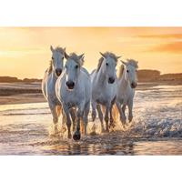Bellatio Dieren Kinderkamer Poster Kudde Witte Paarden In De Zee 84 X 59 Cm - Posters