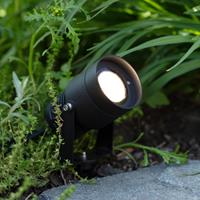 MARKSLOJD LIGHTING Markslojd GARDEN24 - LED Outdoor Garden Spike Spotlight Schwarz IP44