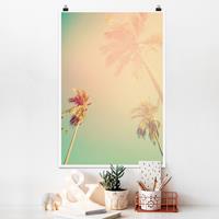 Klebefieber Poster Tropische Pflanzen Palmen bei Sonnenuntergang III