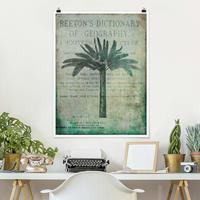 Klebefieber Poster Vintage Collage - Antike Palme