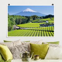 Klebefieber Poster Teefelder vor dem Fuji